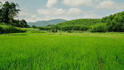 Panoramic view of lush green valleys and forested mountains under a clear sky, ideal for Earth Day...