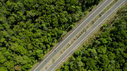 Aerial view of a deserted road cutting through a dense forest, symbolizing concepts of travel,...