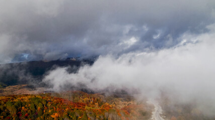 Aerial view of a vibrant autumn forest shrouded in mist, perfect for themes of nature's beauty, fall season, and Earth Day backgrounds