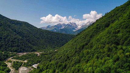 Obraz premium Lush green mountain slopes lead to snow-capped peaks under a clear sky, ideal for Earth Day and International Mountain Day themes
