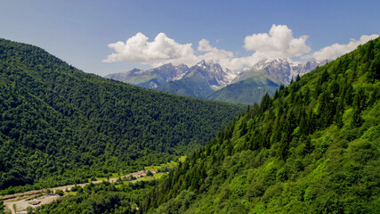 Naklejka premium Lush green mountain slopes lead to snow-capped peaks under a clear sky, ideal for Earth Day and International Mountain Day themes