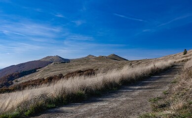 Beautiful view of the Bieszczady Mountains next to a dry hay field in Poland