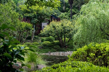 Low-angle view of a beautiful forest on a sunny day