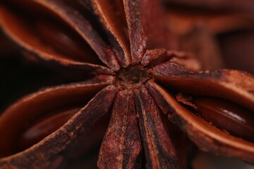 Close-up shot of a star anise