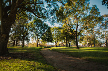 Obraz premium Charming historic town- Windsor, Australia