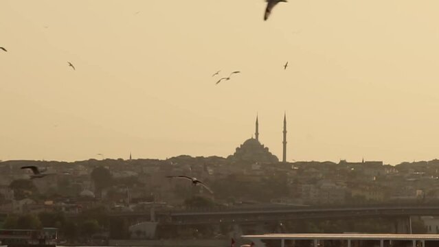 Beautiful sunset with seagulls flying in Hagia Sofia, Istanbul