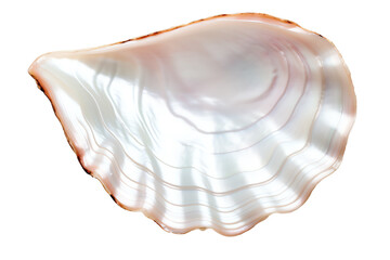The image shows a beautiful, natural pink pearl with a smooth, iridescent surface.