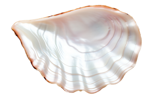 The image shows a beautiful, natural pink pearl with a smooth, iridescent surface.
