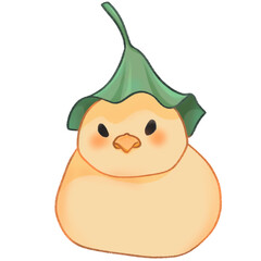 A duck with a lotus leaf on its head