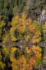 Vertical shot of colorful autumn trees on the shore of a clear lake