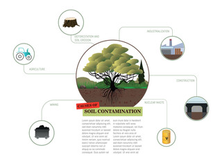 A diagram of a tree with the words “soil pollution emissions” written underneath. The diagram shows the different ways in which soil pollution can occur, including pollution from factories, deforestat