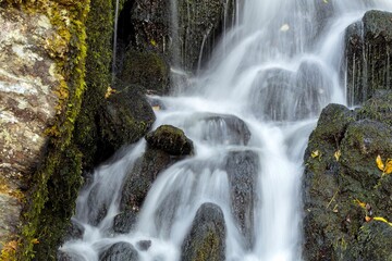 Fototapeta premium Cascade on the mossy rocks in a forest