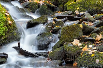 Cascade on the mossy rocks in a forest