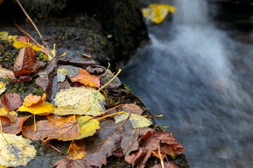 Cascade on the mossy rocks with fallen wet leaves