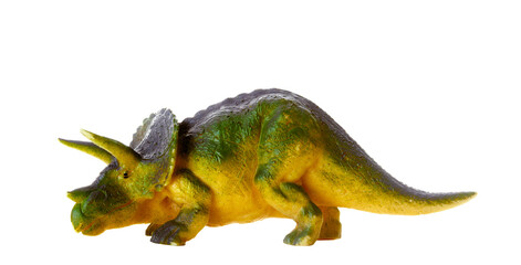 Detailed triceratops figurine isolated on a white background with visible textures © Antonio Gravante