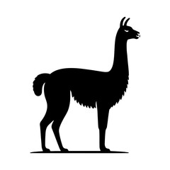 Highland Grace: Vector Vicuña Silhouette, Symbol of Elegance and Alpine Majesty- Minimalist Vicuna Vector- Vicuna Illustration.