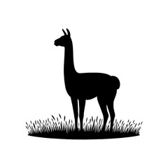 Fototapeta premium Highland Grace: Vector Vicuña Silhouette, Symbol of Elegance and Alpine Majesty- Minimalist Vicuna Vector- Vicuna Illustration.