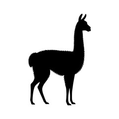 Highland Grace: Vector Vicuña Silhouette, Symbol of Elegance and Alpine Majesty- Minimalist Vicuna Vector- Vicuna Illustration.