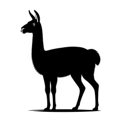 Highland Grace: Vector Vicuña Silhouette, Symbol of Elegance and Alpine Majesty- Minimalist Vicuna Vector- Vicuna Illustration.