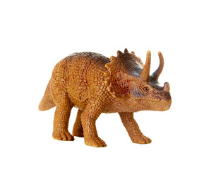 Detailed triceratops figurine isolated on a white background with visible textures © Antonio Gravante