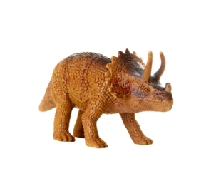 Detailed triceratops figurine isolated on a white background with visible textures
