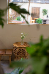 medium-sized, loose petalled, fragrant rosettes,  Winchester Cathedral rose  continues to bloom at regular intervals throughout the summer. Winchester Cathedral rose makes a well-shaped shrub with twi