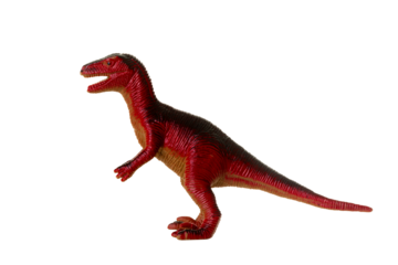 Detailed toy replica of a velociraptor dinosaur isolated on a white background