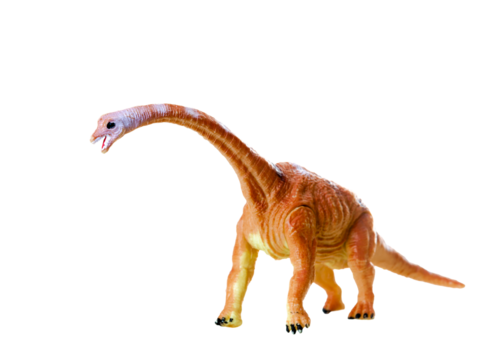 Detailed toy replica of the mamenchisaurus sinocanadorum against a white background