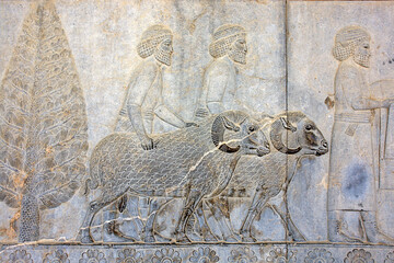 Bas reliefs that depict delegations from across the Persian empire bringing tribute to the...