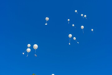 White balloons in the air, clear sunlit sky background