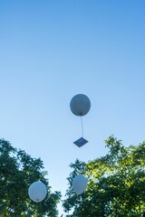 Vertical of white balloons in the air, clear sunlit sky background