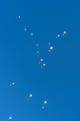 Vertical of white balloons in the air, clear sunlit sky background