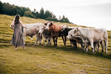 Woman standing against the cows in the pasture on a sunny day