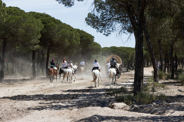 Pilgrims on horses along sandy roads and surrounded by pine forests.