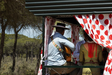 Cart pulled by oxen and tractors, accompanied by its faithful pilgrims. Celebrating with songs and...