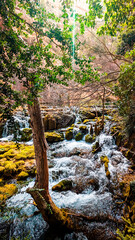 Symphony of Blues and Greens: A Spring Exploration in the Pitarque River Canyon, Unveiling the Serene Beauty of Teruel in Fortanete.

