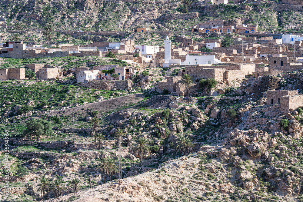 Wall mural Dahar, southern Tunisian region, green after the rain