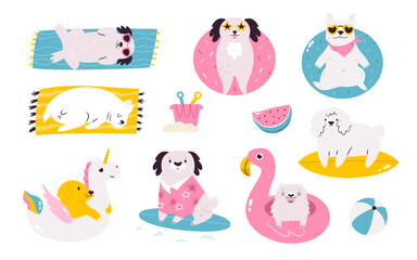 Set of hand drawn vector dogs doing summer activities and swimming