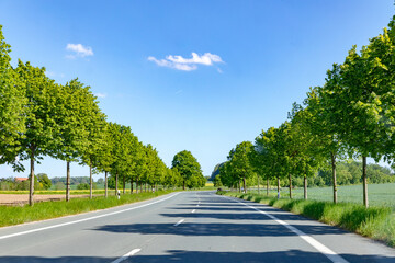 driving along an alley in rural landscape near Kirchheim