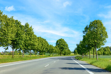 driving along an alley in rural landscape near Kirchheim