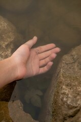 Vertical shot of a gentle hand of a female touching the clear river water