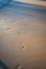 Barefoot footprint trail on sandy beach graphic resource background vertical
