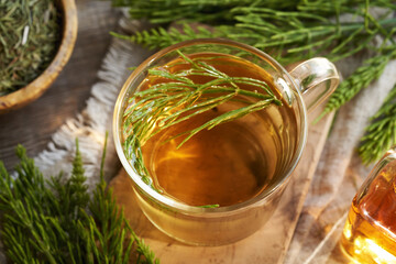 A cup of herbal tea with fresh horsetail twigs on a table