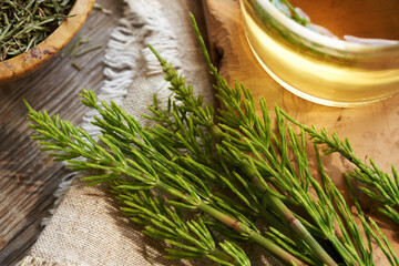 Fresh horsetail plant on a table with a cup of herbal tea in the background