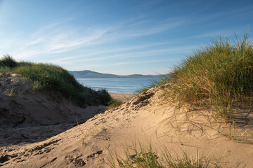 sand dunes on the beach