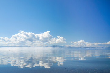 朝霧の猪苗代湖上を泳ぐ鴨