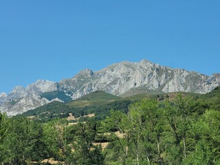 Aerial view of lush green trees on the hill with Picos de Europa mountain range in background