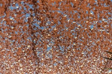 Low angle shot of an orange camouflage net against a blue sky background
