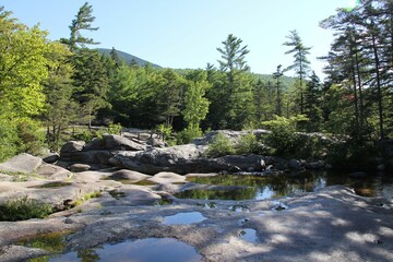 Scenic view of a bridge over rocks in a green park on a sunny day