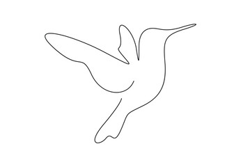 Hummingbird continuous one line art vector illustration